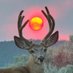 𝐀𝐧𝐞𝐮𝐫𝐲𝐬𝐦 (@cyber_gunk) Twitter profile photo 𝐀𝐧𝐞𝐮𝐫𝐲𝐬𝐦 (@cyber_gunk) Twitter profile photo