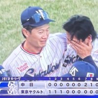 ちなヤク.#23#41 (@swallows23141) 's Twitter Profile