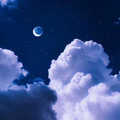 sfmn_new's profile picture. ゲームか猫のことしか呟かないよ