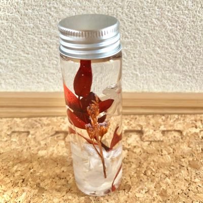 四季紫織さんのプロフィール画像