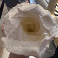 odayaka (@cfihn) 's Twitter Profile