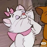 3️⃣7️⃣ (@nyan0207ym) 's Twitter Profile