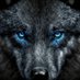 Tom (@blackwolf7549) Twitter profile photo Tom (@blackwolf7549) Twitter profile photo