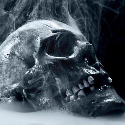 0gBrot's profile picture. 