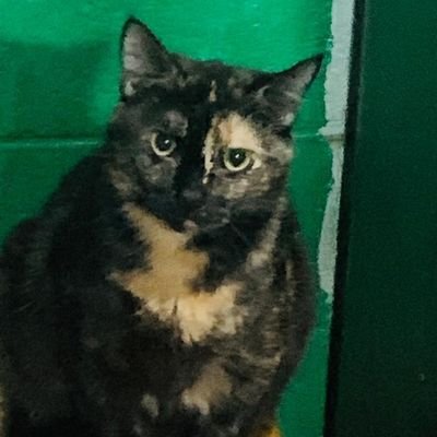 guevara59967672's profile picture. 