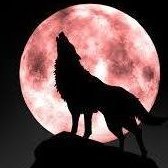 方圓裡焚香撫琴,竹林外犬吠猿啼。
關上門奇巧淫技,願入者自在逍遙共享背德樂趣。
棄俗樂走巷吹噓,瞧乞兒氣急敗壞只為打賞誰多。
心高氣傲,只因不隨鴨雁聒噪老子自有一套
與其計較,不如再創新技令有緣者瞠目高潮