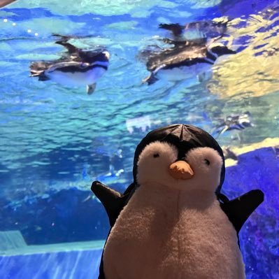 adelie_pg_'s profile picture. 柏葉74期 Alto