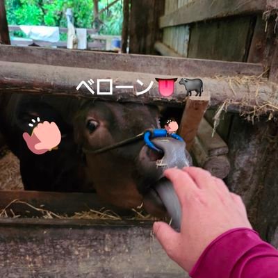 プリアム🐮(ゲーム音楽・筋トレ・牛💘)さんのプロフィール画像