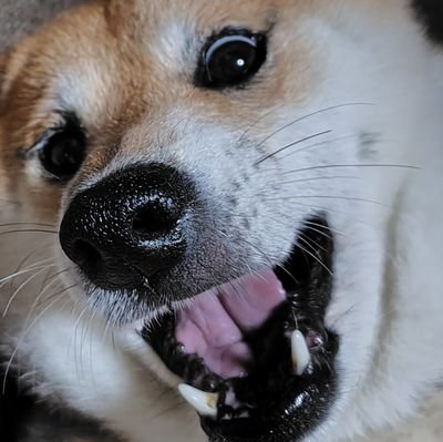 従免取得はJLからJM1の時代…TX自作してたらあっという間にJP1。15mbAMで開局、昔はコンテストで遊んでました。CW不得手。JCC丼134404。
QSL紙カード→郵送します連絡下さい。Check out https://t.co/9LHr4gfzzf
JARL会員。