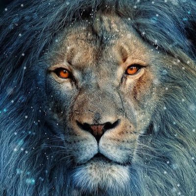 over1trip's profile picture. オーガニック投資家(Organic Investor)/完全菜食者(Vegan)/You are what you eat      
NZ Nelsonより愛と感謝を込めて