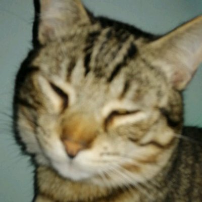 Metta93さんのプロフィール画像