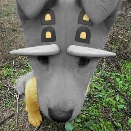 imbahhhman's profile picture. pro starcrafter, loving father, lemont (name), kangaroo enthusiast