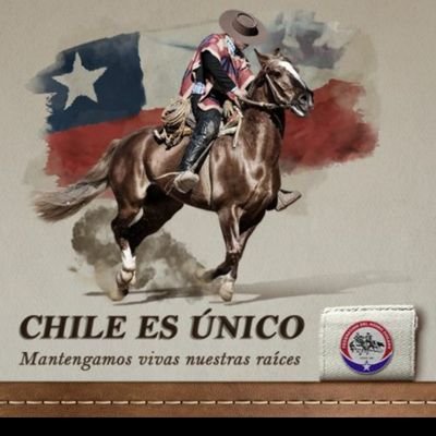 Esposa, Madre, linda familia, Cruzada de Corazón, Patriota, amo mi 🇨🇱 ,escudo y mi CHILE lindo y libre...