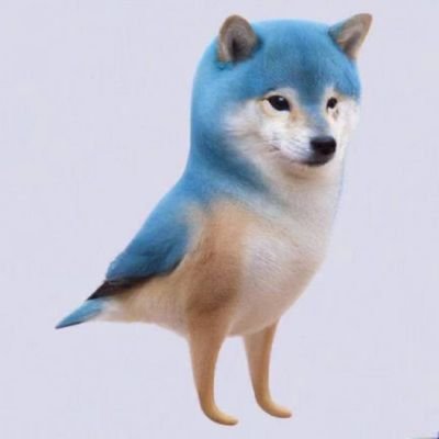 8tF51zxTz323423's profile picture. WEB3.0