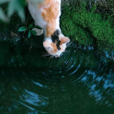 📚 creator & developer
🧑💻 Work at https://t.co/5DIyfO3dBP
🌁 Creator of https://t.co/IezFDHyK8r, phorase
🎡 Reading, dogs, gardening, and spending time with my child