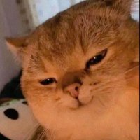 แแผIแชแช ๐ ๐๐ผ๐ (@chilldulugaksie) 's Twitter Profile Photo แแผIแชแช ๐ ๐๐ผ๐ (@chilldulugaksie) 's Twitter Profile Photo