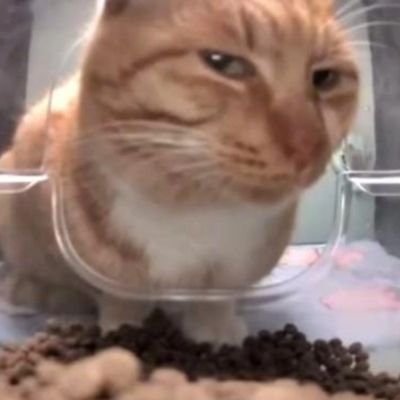 Wiliam411547's profile picture. 