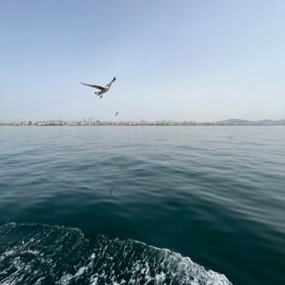 مشاعر مبعثره غاصت في اعماق قلبي مما أدت الى صياغة خواطر جياشه مستوحاه تروي ظمأ ما خبأه صدري من إحساس عكس على واقعي بالسعادة احياناً وبالحزن احياناً اخرى