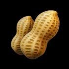 pppppppppp_nut's profile picture. 