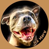 Isa Mary (@isamary2021) 's Twitter Profile Photo Isa Mary (@isamary2021) 's Twitter Profile Photo