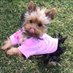 Londyn Rose (@londynrose1014) Twitter profile photo Londyn Rose (@londynrose1014) Twitter profile photo