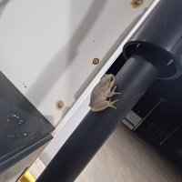 ぺち山ぺち夫 (@pechipechi1919) 's Twitter Profile