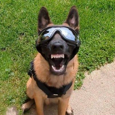 darthbiblia's profile picture. All of this is a mistake