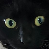 TBMChristopher (@tbmchristopher) 's Twitter Profile Photo TBMChristopher (@tbmchristopher) 's Twitter Profile Photo
