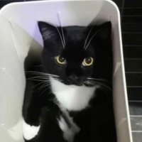 Mikonfo (@cloudwine6899) 's Twitter Profile