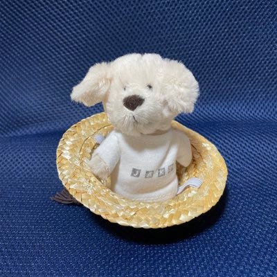 娘からの影響でENGENEに♡仲良くしてくださると嬉しい😊 娘とENGENE&CARAT 。 ジェイクよりのオルペン🥰気軽に声かけてください ね!お迎えしてもOKの方は一言お願いします🫶🏻大学生がいる50↑オンマです