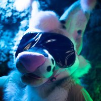 Dark Emree (@darkakkie) 's Twitter Profile