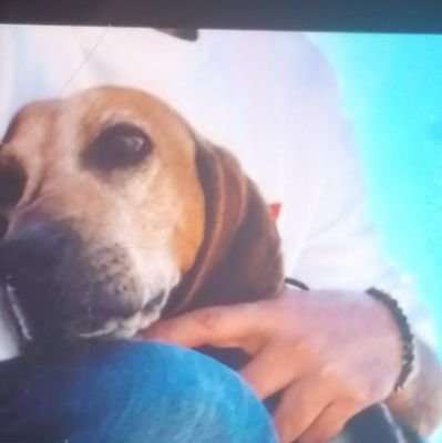 zakkagobbo73's profile picture. 