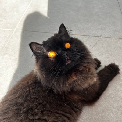 Vic M.さんのプロフィール画像
