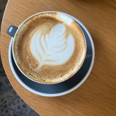 GerYoav's profile picture. comp neuro @technionlive