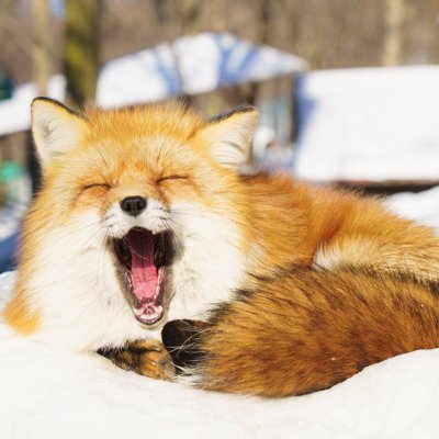 さすらい