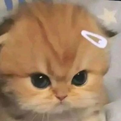 enerianna3's profile picture. silly little thoughts from a silly person!