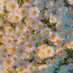 ? (@roobutt_what) Twitter profile photo ? (@roobutt_what) Twitter profile photo
