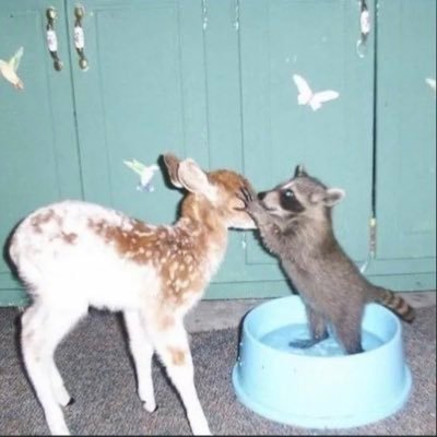 MageTearsFan's profile picture. 