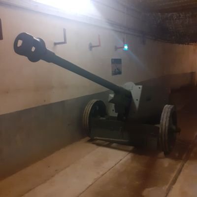 tim_thaler70's profile picture. Hier gibt es nichts zu sehen, geh weg.