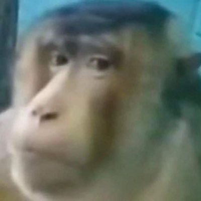 peekpeekabo0's profile picture. 