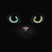 AlejaDrum2355's profile picture. 💜