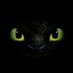 Jade-Dragon-333 🇺🇸🐎🇺🇸 (@jade_dragon_333) Twitter profile photo Jade-Dragon-333 🇺🇸🐎🇺🇸 (@jade_dragon_333) Twitter profile photo