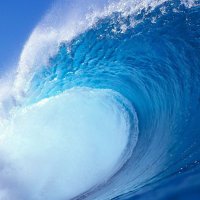 Blue Wave (@blue_wave_1957) Twitter profile photo
