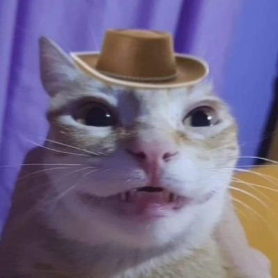 Unknown_vie's profile picture. 