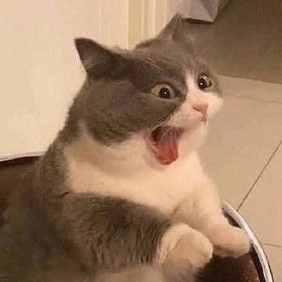 memecasm14's profile picture. Brother Sister incest captions

DM for collab / promo