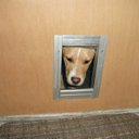 susan rasch - @littlething12 - Twitter