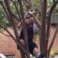 🏴‍☠️ 🅱️e-🅱️o 🏴‍☠️ (@cowbellslinger_) 's Twitter Profile Photo