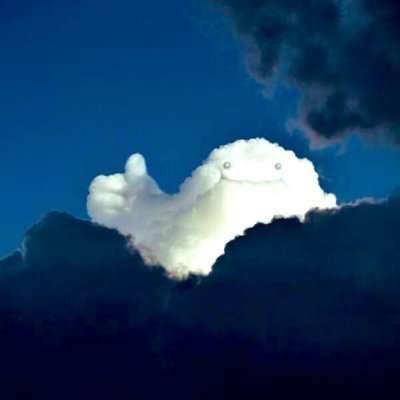 Elath59258300's profile picture. 