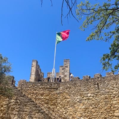 asampaio1979's profile picture. 🇧🇷 🇵🇹 🇦🇷 🇵🇾 🇺🇾 🇺🇸