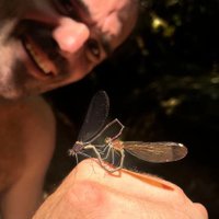 Luis Alejandro Family Constellations (@otroserhuman0) 's Twitter Profile